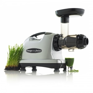 8006s-wheatgrass_2000x2000